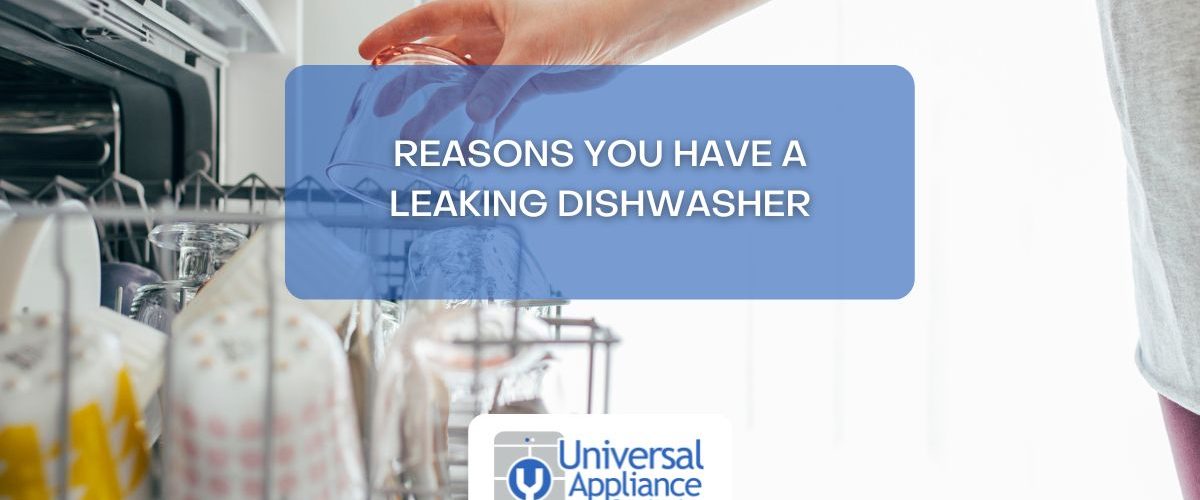 Leaking Dishwasher